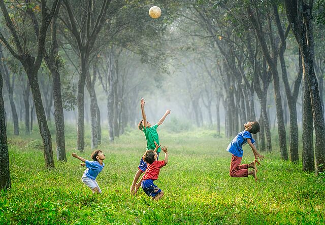 Spiel und Spaß in Wies´und Gras!