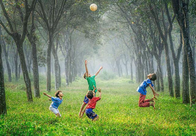 Spiel und Spaß in Wies´und Gras!