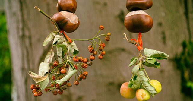 Hübsche Herbstgirlande aus Naturmaterialien