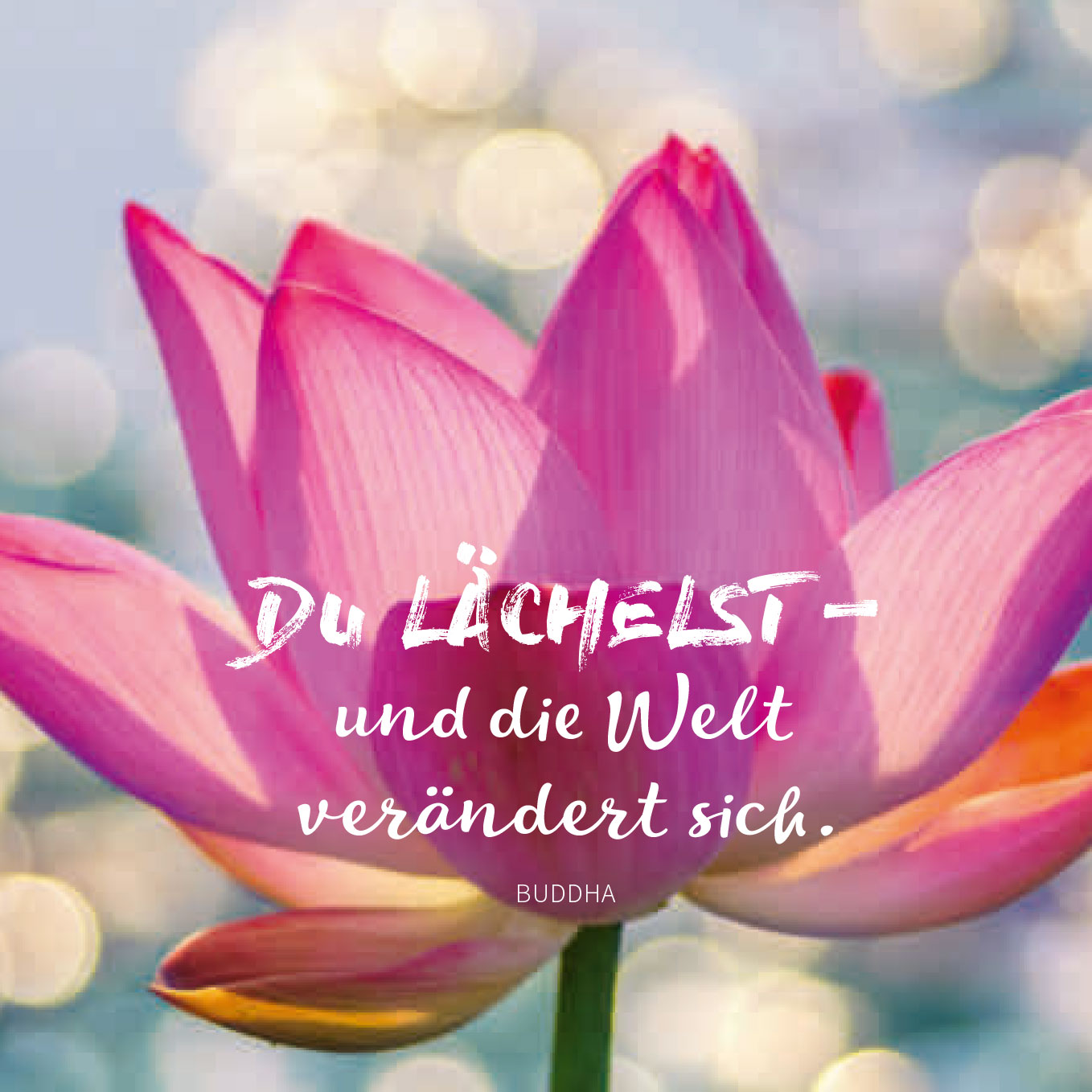 Du lächelst und die Welt verändert sich.