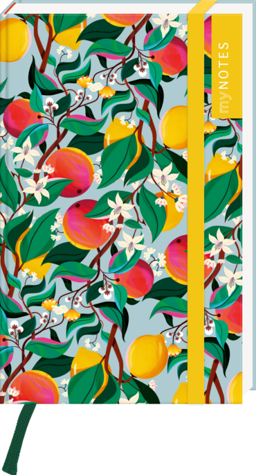 myNOTES Papeterie: Notizbuch A6 Farben des Sommers