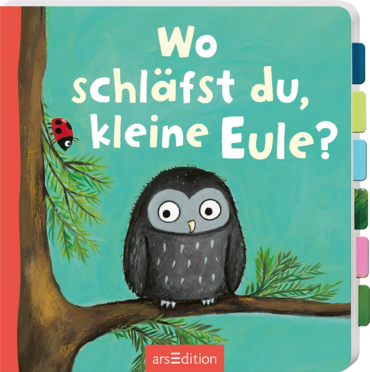 Wo schläfst du, kleine Eule?