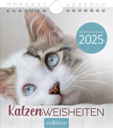 Wandkalender Katzenweisheiten 2025