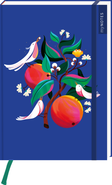 myNOTES Papeterie: Notizbuch A5 Farben des Sommers