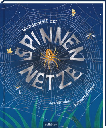 Wunderwelt der Spinnennetze