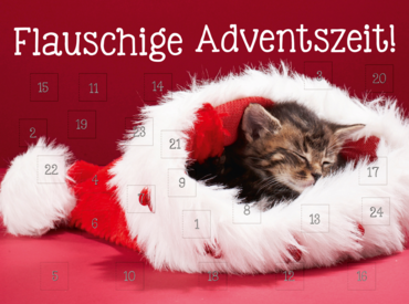 Mini-AK KatzenHunde